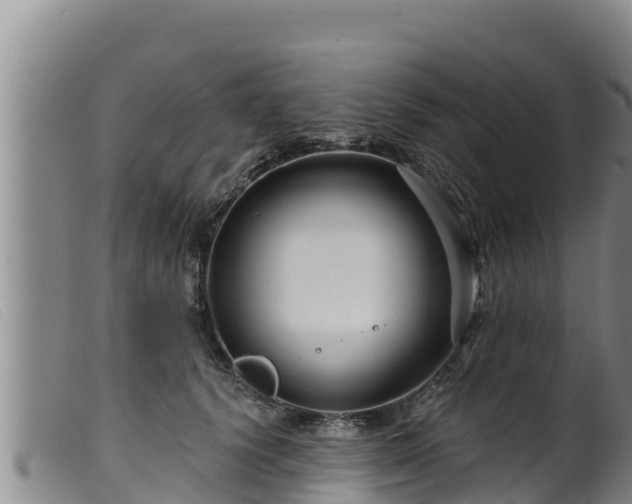 X0000099540656200805231128