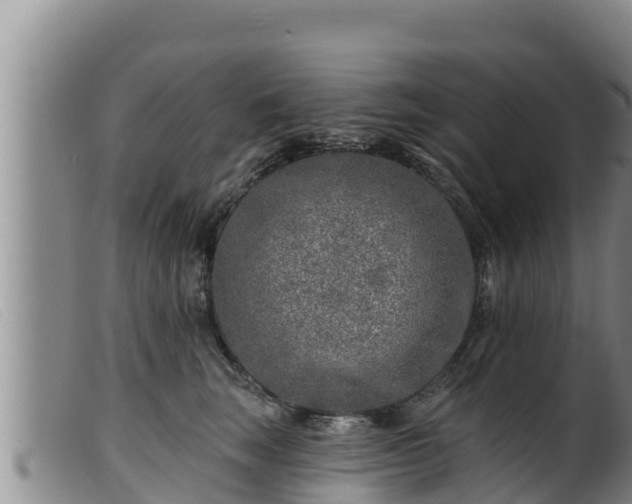 X0000099540663200805231128