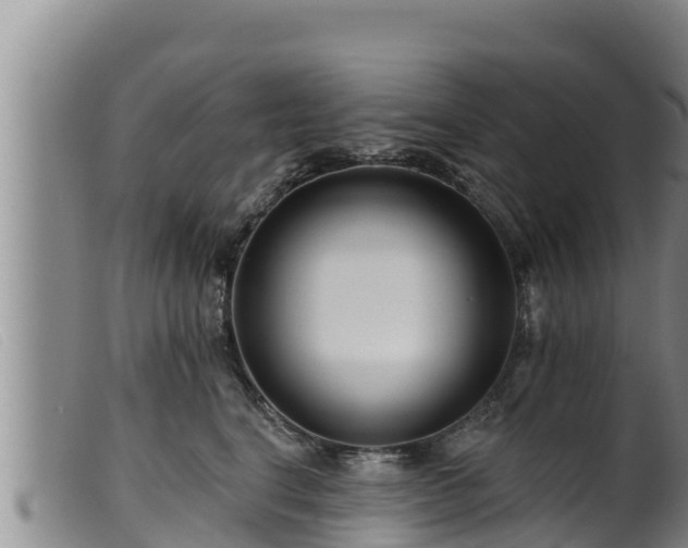 X0000099540664200805231128