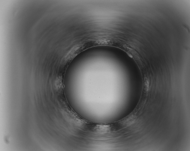 X0000099540665200805231128