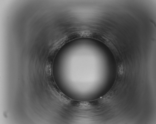 X0000099540666200805231128