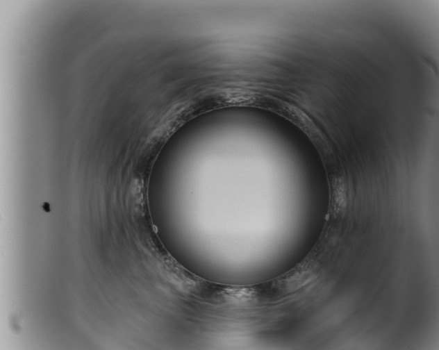 X0000099540667200805231128