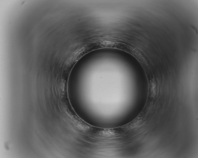 X0000099540668200805231128