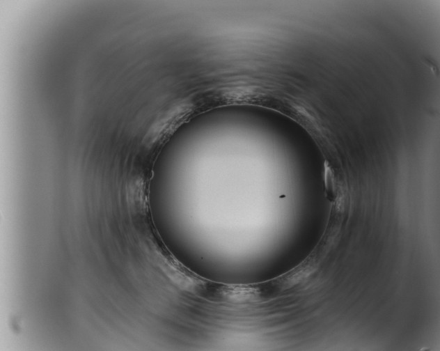 X0000099540670200805231128