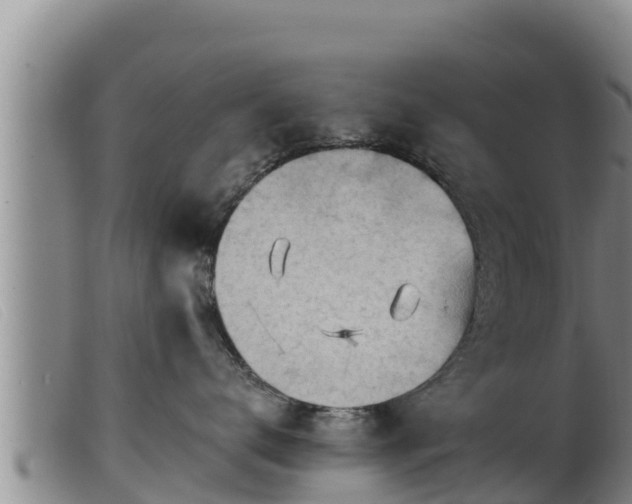 X0000099540672200805231128