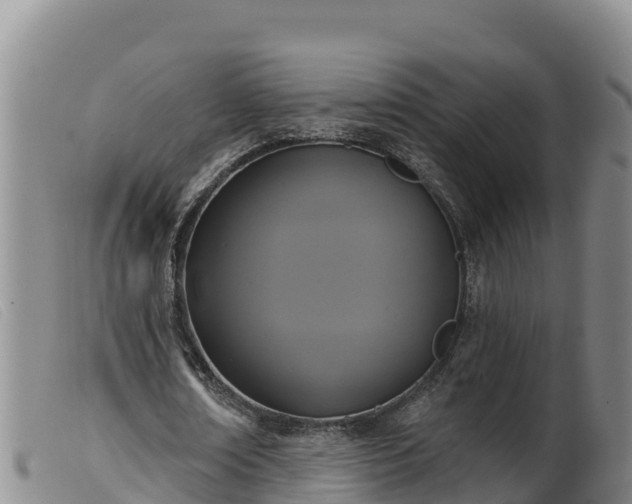 X0000099540674200805231128