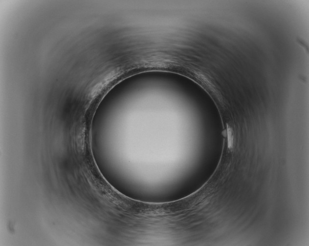 X0000099540675200805231128