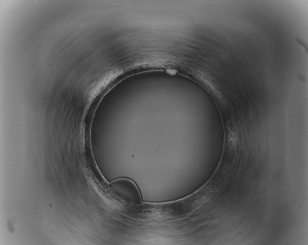 X0000099540678200805231127