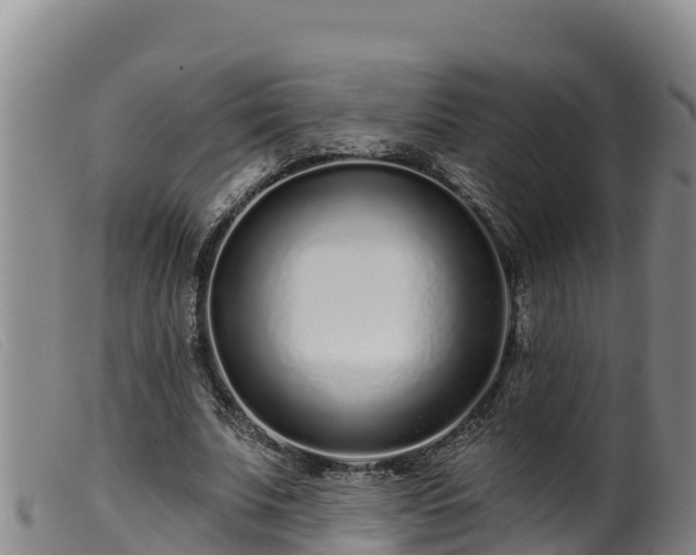 X0000099540679200805231127