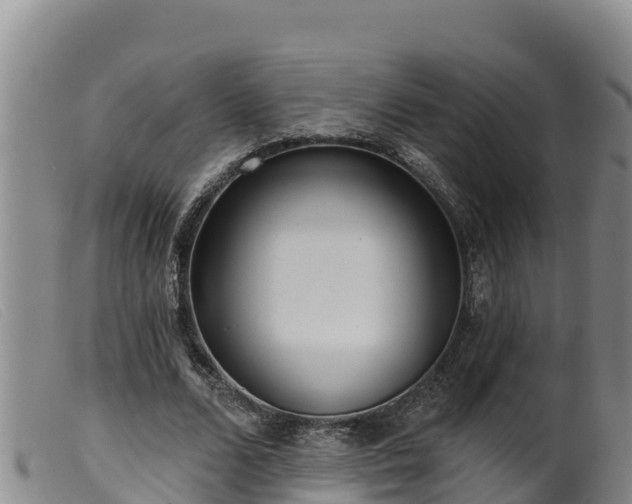 X0000099540680200805231127