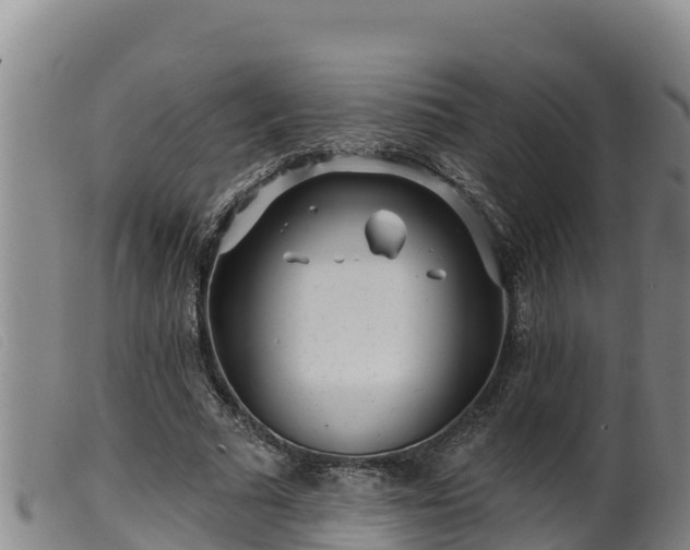 X0000099540681200805231127