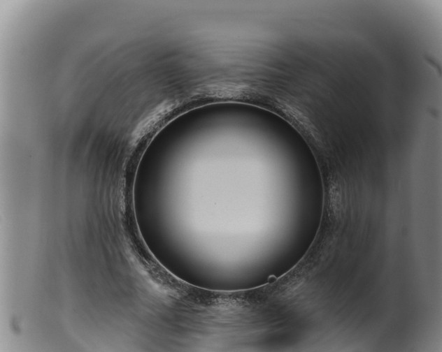 X0000099540682200805231127