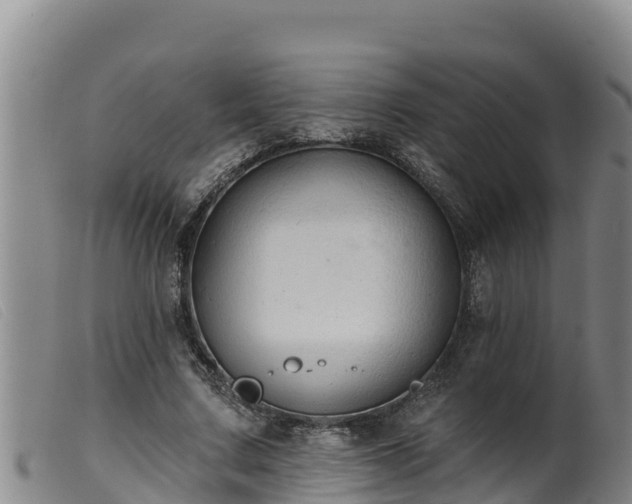 X0000099540683200805231127