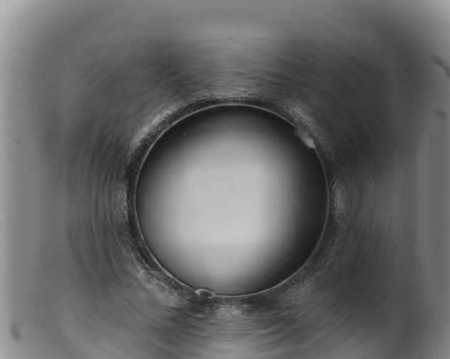 X0000099540684200805231127