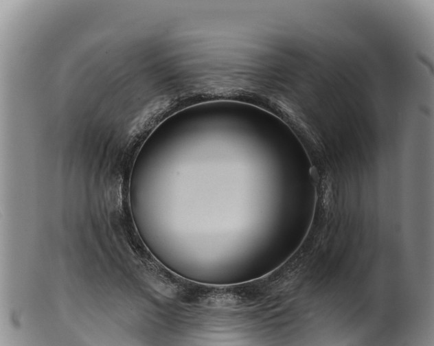 X0000099540685200805231127