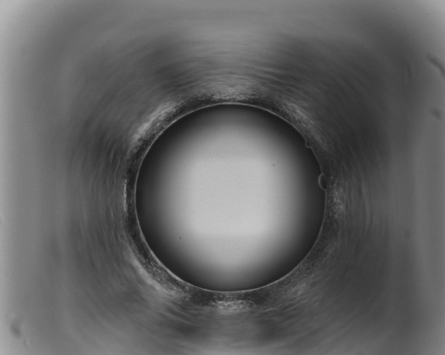 X0000099540686200805231127