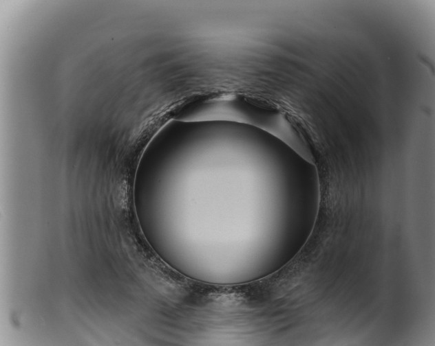 X0000099540689200805231127