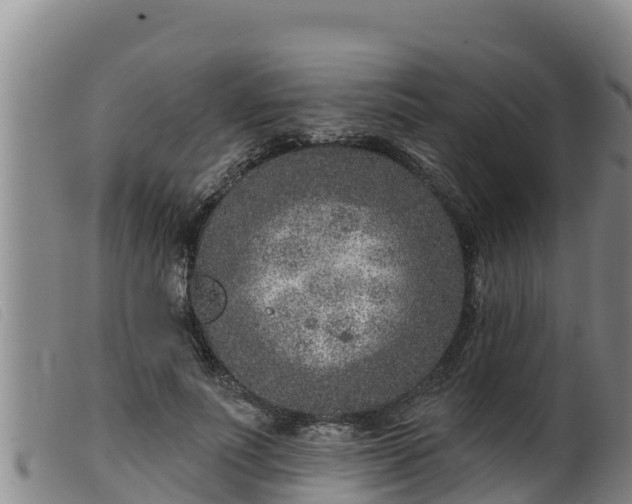 X0000099540691200805231127