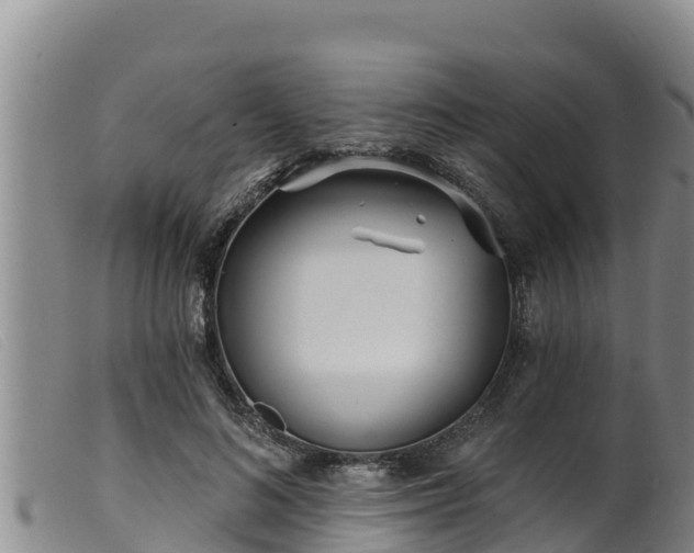 X0000099540692200805231127