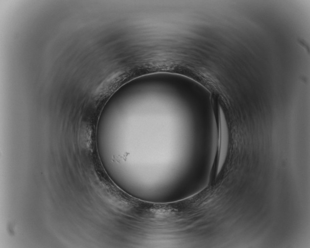 X0000099540693200805231127