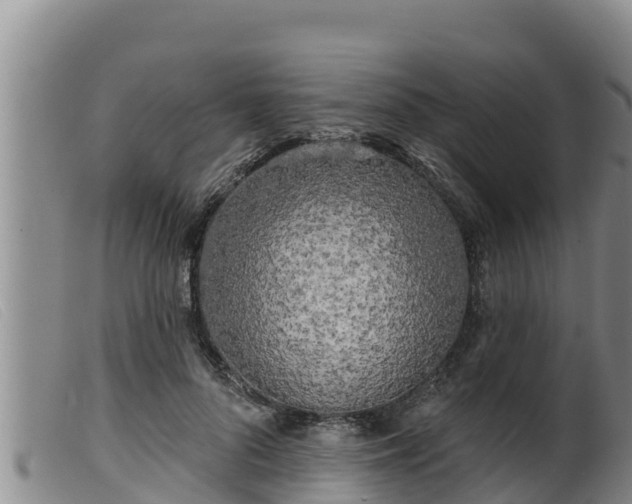 X0000099540696200805231127