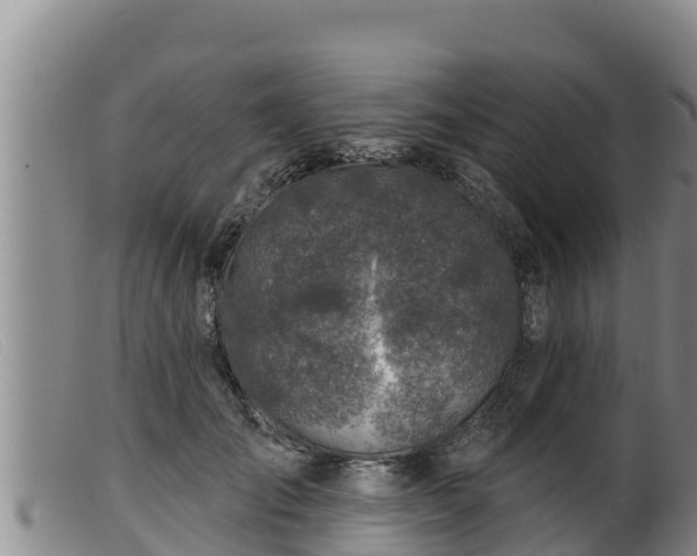 X0000099540701200805231127