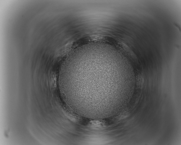 X0000099540703200805231127