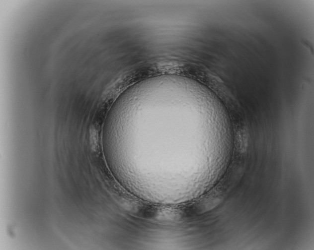 X0000099540705200805231127