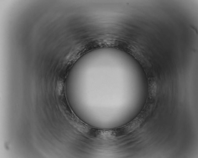 X0000099540709200805231127