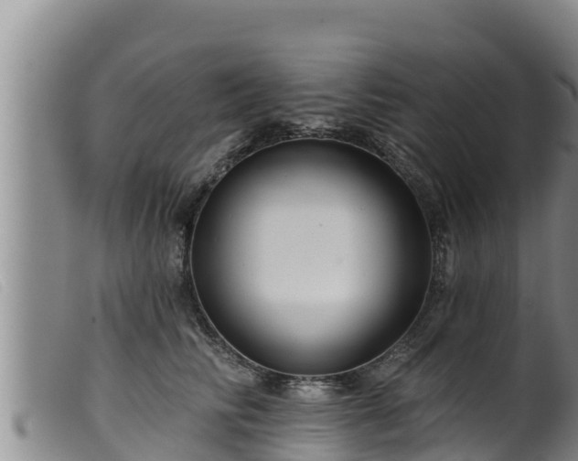 X0000099540710200805231127