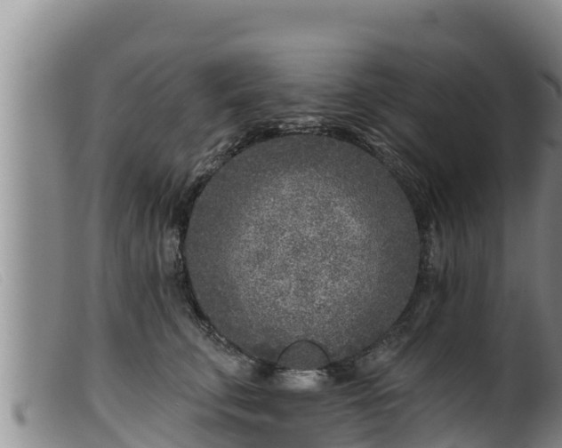 X0000099540711200805231127