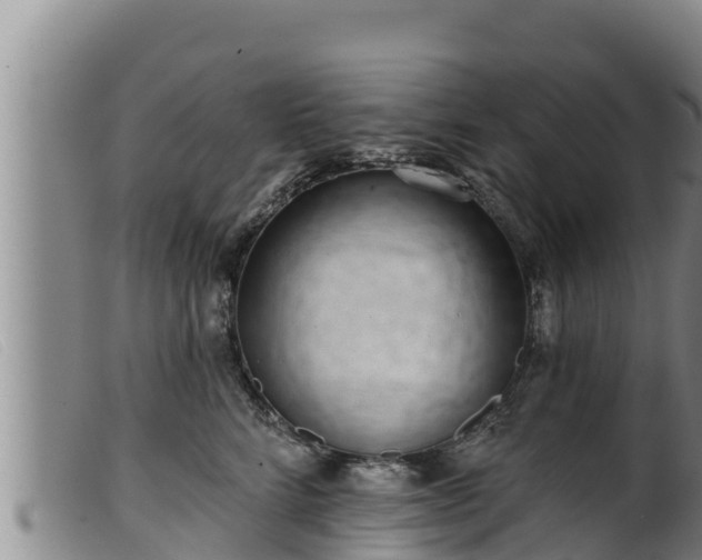 X0000099540712200805231127