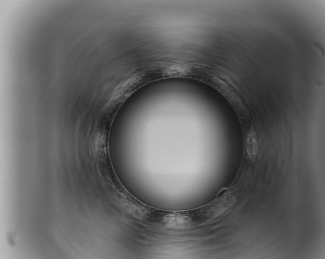 X0000099540714200805231127