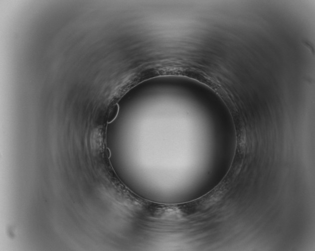 X0000099540715200805231127