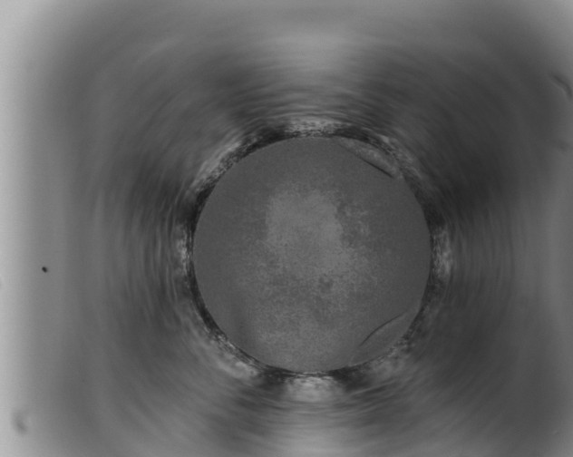 X0000099540716200805231127