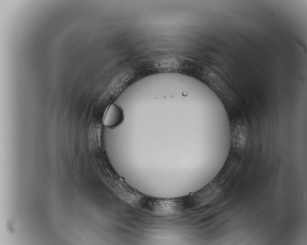 X0000099540717200805231127