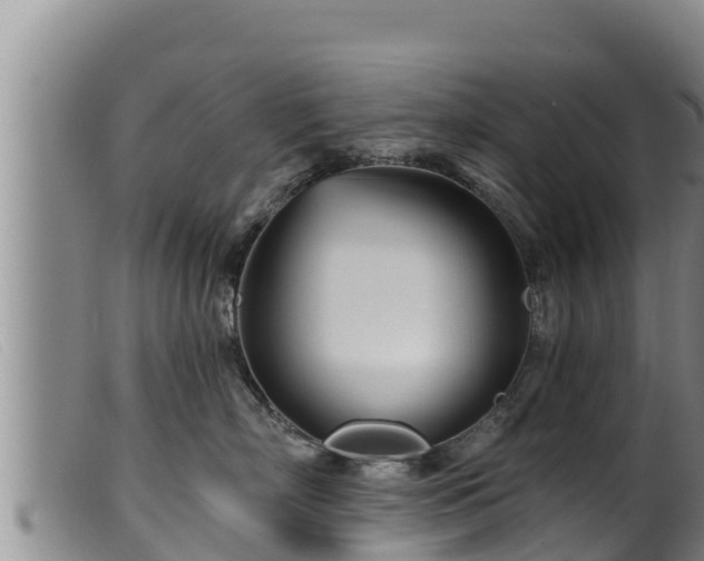 X0000099540718200805231127