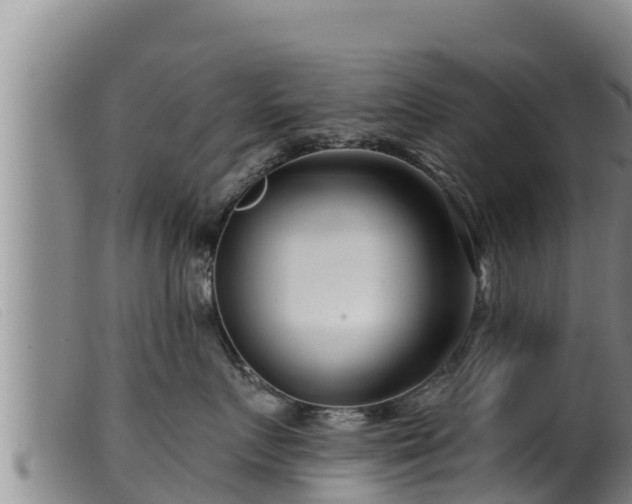 X0000099540719200805231127