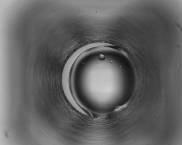 X0000099540720200805231127