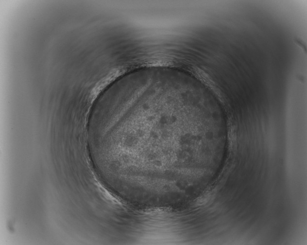 X0000099540721200805231126