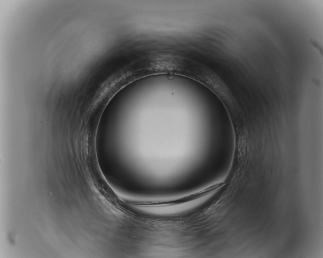 X0000099540722200805231126