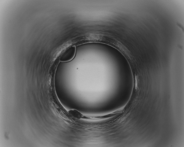 X0000099540723200805231126