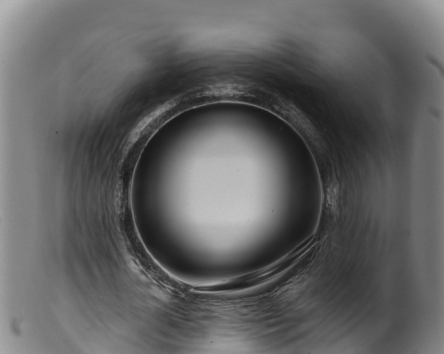 X0000099540724200805231126