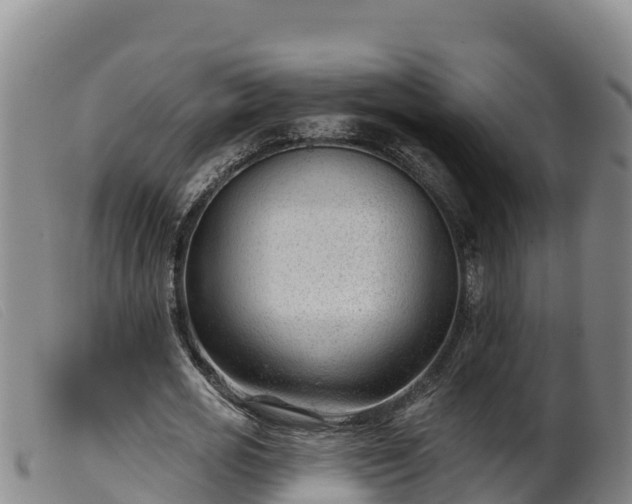 X0000099540725200805231126