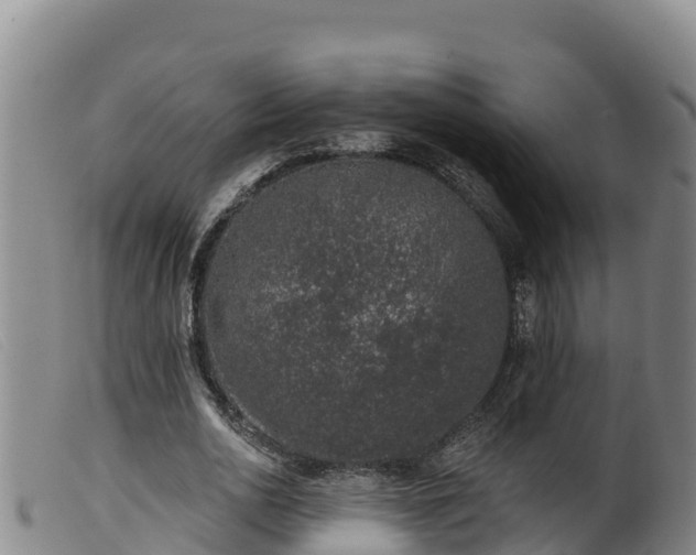 X0000099540726200805231126