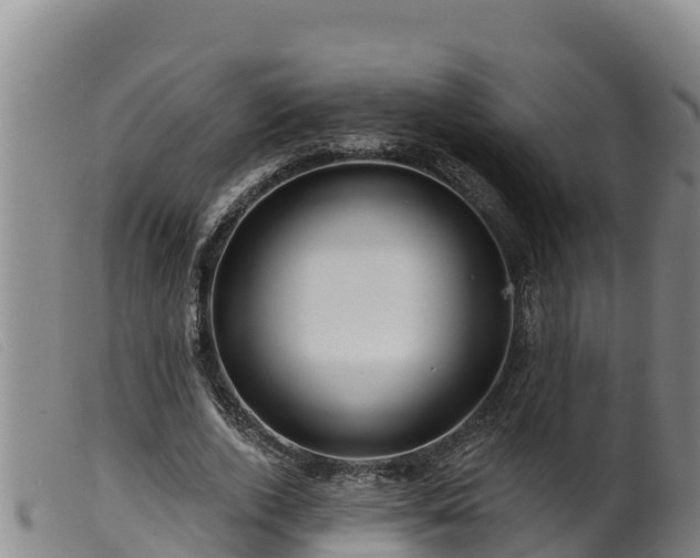 X0000099540728200805231126