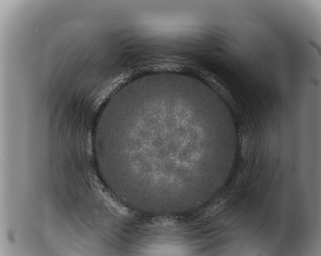 X0000099540729200805231126