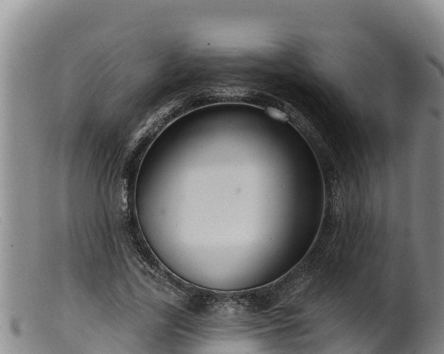 X0000099540731200805231126