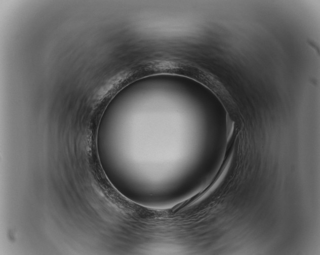 X0000099540732200805231126