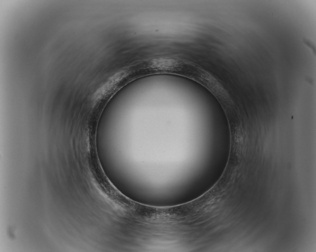 X0000099540734200805231126